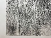 <p>Exhibition view, Julia Steiner, Cantonale Berne Jura, Kunsthaus Langenthal, Langenthal, Switzerland, 2.12.2021 - 16.1.2022</p>
