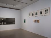 <p>Urs L&uuml;thi, Exhibition view, <em>SUSPECTS &ndash; Van Gogh, Tricksters &amp; Co.,&nbsp;</em>Fondation Vincent van Gogh, Arles, France, May 22 - October 18, 2026. Photo&nbsp;Grégoire D'Ablon.</p>

