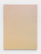 <p>Zhang Xuerui, <em>432 202003</em>, 2020, acrylic on canvas, 240 x 180 cm</p>
