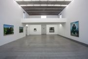 <p>展览现场，<em>王兴伟</em>，麦勒画廊北京-卢森，中国北京，2011年11月5日 － 2012年2月12日</p>
