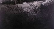 <p>Meng Huang,&nbsp;<em isrender="true">Secret Pond no. 2</em>,&nbsp;2006, oil on canvas, 220 x 400 cm</p>
