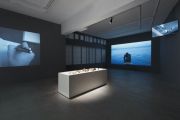 <p>Exhibition View, <em>Existence Without Air, Food, or Water</em>, Galerie Urs Meile, Lucerne, Switzerland, 22.11.2013 - 18.1.2014</p>
