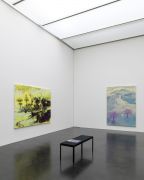 <p>Exhibition view, <em>Sykomore - Kabinettausstellung</em>, Kunstmuseum Luzern, Lucerne, Switzerland, 9.12.2017 - 7.1.2018</p>
