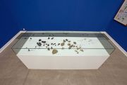 <p>Cheng Ran, <em>Tide Conversations</em>, 2013, mixed media installation (stones, sea shells, fountain pen nibs, inscribed notepaper, wooden plinth and glass cover), 105 x 244 x 80 cm</p>
