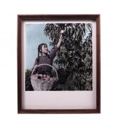 <p>Cai Dongdong,&nbsp;<em>Fruit Picking,</em> 2022, silver gelatin print, mirror, watercolor, 60 x 50 cm, edition of 1 + 1 AP</p>
