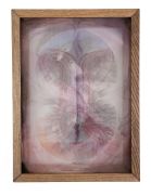 <p>L&ecirc;na B&ugrave;i,&nbsp;<em>circulation no. 11,</em> 2025, ink and watercolor painting on silk and archival paper, 38 x 28 x 6.5 cm (framed)</p>
