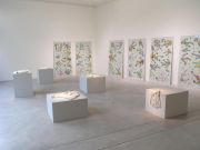 <p>展览现场，<em>Ai Weiwei</em>，麦勒画廊 北京-卢森，瑞士卢森，2007年11月3日 &ndash; 12月22日</p>
