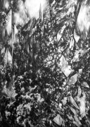 <p>Julia Steiner, <em>Nocturne VI</em>, 2013, gouache on paper, 280 x 203 cm</p>
