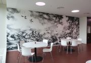 <p>Julia Steiner, <em>Bewegte R&auml;ume</em>, 2011, wall drawing, oil on wood; installation of coppered leafs, a public space project at Bern University of Applied Sciences, School of Agricultural, Forest and Food Sciences HAFL, Zollikofen, Switzerland</p>
