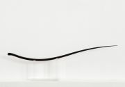<p>Shao Fan,&nbsp;<em>Ming Beard - 2006, No.5,</em> 2006, red sandal wood, 43 x 152 x 12 cm</p>
