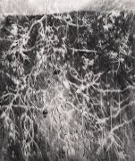 <p>Julia Steiner, <em>root V</em>, 2021, gouache on paper, 110 x 92 cm</p>
