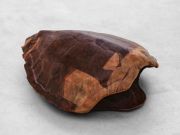 <p>米尔科&middot;巴泽吉亚，<em>Tartaruga</em>，2018，非洲红木，24.5 x 77.5 x 65.5 cm，图片：Stefan Altenburger</p>
