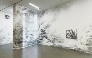 <p><em>Borrowed Light</em>, 2019, site-specific wall drawing, 4,1 x 32,2 m, Helvetia Art Foyer, Basel, gouache on wall/silk, gouache on paper/aludibond, photo by Serge Hasenb&ouml;hler</p>
