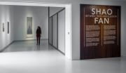 <p><em>Exhibition view, Between Truth and Illusion</em>, Het Noordbrabants Museum, &#39;s-Hertogenbosch, Holland, 15.02. - 18.10.2020 (photo credit: Het Nordbrabants Museum and Joep Jacobs)</p>
