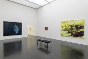 <p>Exhibition view, <em>Sykomore - Kabinettausstellung</em>, Kunstmuseum Luzern, Lucerne, Switzerland, 9.12.2017 - 7.1.2018</p>
