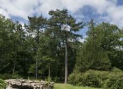 <p>Lang/Baumann, <em>Beautiful Tube #2</em>, 2014, wood, paint, 3.6 x 1.2 x 2.4 m, installation view, Parc Jean-Jacques-Rousseau, Ermenonville, France</p>
