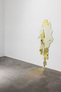 <p>Cao Yu, <em>Piss-Take a Look at Yourself</em>, 2023, urine, 195 x 78 cm</p>
