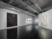 <p>Exhibition view, Rebekka Steiger, <em>Octopus Mountain</em>, 1.3. - 2.6.2024, Courtesy TANK Shanghai, photo by JJYPHOTO</p>
