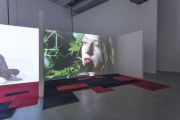 <p>Cheng Ran, <em>Before Falling Asleep - Video Installation</em>, 2015, mixed media (partition wall, carpet), 198 x 730 x 510 cm, detail</p>
