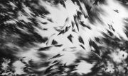 <p>尤莉亚&middot;斯坦纳，<em>consistence of time</em>，2011（第一部分）, 纸上水粉，120 x 200 cm</p>
