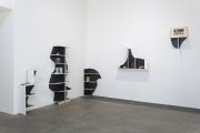 <p>Cheng Ran, <em isrender="true">Three Generations</em>, 2015, ready-made objects, DVDs, CDs, books, and two bookshelves, dimensions variable</p>
