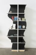 <p>Cheng Ran, <em>Three Generations</em>, 2015, ready-made objects, DVDs, CDs, books, and two bookshelves, dimensions variable, detail</p>
