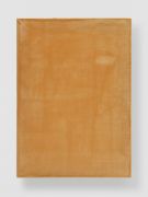 <p><em>Mirko Baselgia, Rascha - Picea abies II</em>, 2021, handwoven linen from the Tessanda Val M&uuml;stair, Norway spruce resin (Lantsch/Lenz), Norway spruce wood<br />
77 x 55 cm, photo by Stefan Altenburger</p>
