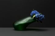 <p>Tobias Rehberger, <em>Cao Yu</em>,&nbsp;2019, ongoing series of vase portraits, frosted glass, paint, blue hydrangea, 30 x 52 x 34 cm (vase)</p>
