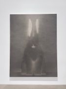 <p>Shao Fan,&nbsp;<em>In the Name of the Rabbit 0822,</em> 2022, ink on rice paper, 230 x 175 cm</p>
