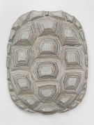 <p>米尔科&middot;巴泽吉亚，<em>Tartaruga - Die Zeit</em>，2021，CNS板，报纸，70 x 54.9 cm，图片：photo by Stefan Altenburger</p>
