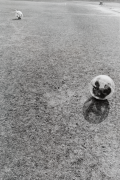 <p>Marion Baruch,&nbsp;<em>Contenitore-Ambiente,</em> 1971 - 2023 Re-Edition, 1/5, gelatin silver print, 28.3 x 19 cm (print); 30 x 24 cm (paper); 43.5 x 34.5 cm (frame), edition of 5</p>
