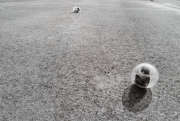 <p>Marion Baruch,&nbsp;<em>Contenitore-Ambiente,</em> 1971 - 2023 Re-Edition, 1/5, gelatin silver print, 19 x 28.3 cm (print); 24 x 30 cm (paper); 34.5 x 43. 5 cm (frame), edition of 5</p>
