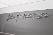 <p isrender="true">Cheng Ran, <em>Hit-Or-Miss-ist</em>, 2013, aluminum board, 143 x 633 x 20 cm, edition of 3</p>
