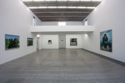 <p>Exhibition View, <em>Wang Xingwei</em>, Galerie Urs Meile, Beijing, China, 5.11.2011 - 12.2.2012</p>
