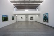 <p>Exhibition View, <em>Wang Xingwei</em>, Galerie Urs Meile, Beijing, China, 5.11.2011 - 12.2.2012</p>
