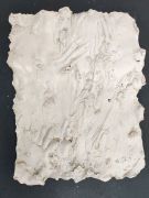 <p>Julia Steiner, <em>deep skin IV</em>, 2016, plaster of paris, laquer, approx. 42 x 32 cm</p>
