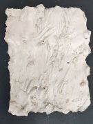 <p>Julia Steiner, <em>deep skin IV</em>, 2016, plaster of paris, laquer, approx. 42 x 32 cm</p>
