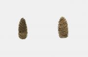 <p>Mirko Baselgia, <em>Las flours digl g&ocirc;t</em>, 2018, 1/3, red bronze, 15 x 5 x 5 cm each, edition of 3 + 1 AP</p>
