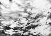 <p isrender="true">尤莉亚&middot;斯坦纳，<em>hexagons (flight)</em>，2013，1/4 AP，手工纸上平版印刷，70 x 98 cm，16 版 + 4 AP</p>
