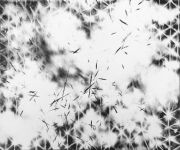 <p isrender="true">尤莉亚&middot;斯坦纳，<em isrender="true">hexagons (thaw)</em>，2013，1/4 AP，手工纸上平版印刷，50 x 60 cm，16 版 + 4 AP</p>
