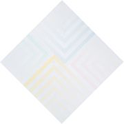 <p>雅各布&middot;比尔，<em>2014 no. 2</em>，布面丙烯，油画，对角线尺寸：170 cm (120:120 cm)，图片：Roberto Pellegrini, Bellinzona</p>
