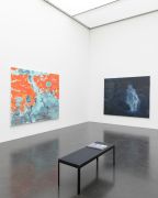 <p>展览现场，<em>SYKOMORE, KABINETTAUSSTELLUNG</em>，KUNSTMUSEUM LUZERN，瑞士卢塞恩，2017年12月9日 &ndash; 2018年1月7日</p>
