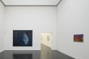 <p>展览现场，<em>SYKOMORE, KABINETTAUSSTELLUNG</em>，KUNSTMUSEUM LUZERN，瑞士卢塞恩，2017年12月9日 &ndash; 2018年1月7日</p>
