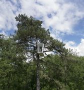 <p>Lang/Baumann, <em>Beautiful Tube #2</em>, 2014, wood, paint, 3.6 x 1.2 x 2.4 m, installation view, Parc Jean-Jacques-Rousseau, Ermenonville, France</p>
