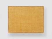 <p>米尔科&middot;巴泽吉亚，<em>Rascha - Pinus uncinata</em>，2021，来自Tessanda Val M&uuml;stair手工亚麻布， 钩形松树脂，钩松木 (Lantsch/Lenz)，33 x 44 cm，图片：Stefan Altenburger</p>
