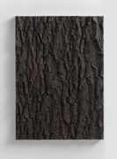 <p isrender="true">米尔科&middot;巴泽吉亚，<em isrender="true">Landscape of growing II</em>，2017，青铜（古色黑），77 x 55 x 3.3 cm，3 版 + 1 AP</p>
