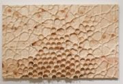 <p isrender="true">米尔科&middot;巴泽吉亚，<em isrender="true">Midada da structura</em>，2018，松木 (瑞士五针松)，110 x 178 x 11 cm，由Stefan Altenburger提供</p>
