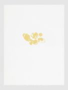 <p>米尔科&middot;巴泽吉亚，<em isrender="true">Transfurmaziun V</em>，2016，3/11，光刻打印机：Arno Hassler，Atelier de Gravure，Moutier，44 x 33 cm，11版 + 3 AP，由Stefan Altenburger提供</p>
