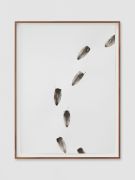 <p>米尔科&middot;巴泽吉亚，<em>fungus migration</em>，2021，纸上鸡腿蘑内的墨水，44 x 33 cm；47.5 x 36.5 cm (带框)；图片：Stefan Altenburger</p>
