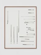 <p>米尔科&middot;巴泽吉亚， <em>It rains and grows - regulator</em>，2021，纸上鸡腿蘑内的墨水，44 x 33 cm；47.5 x 36.5 cm (带框)；图片：Stefan Altenburger</p>
